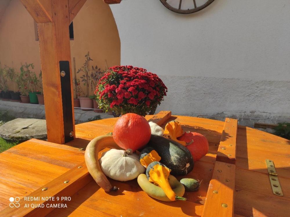 Lhenice Apartman Pod Sribrnou Horou מראה חיצוני תמונה